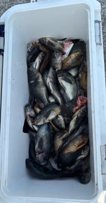 さくらの2026年2月7日(土)2枚目の写真