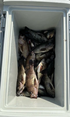 さくらの2026年2月7日(土)3枚目の写真