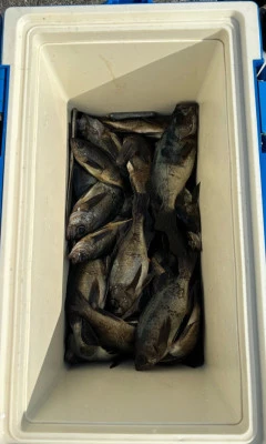 さくらの2026年2月7日(土)4枚目の写真