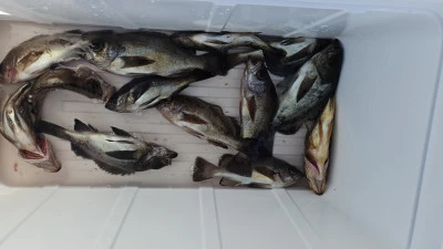 海斗の2026年1月26日(月)1枚目の写真