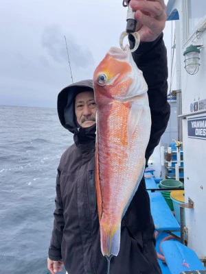 ことぶき丸の2026年2月7日(土)3枚目の写真