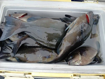 天竜丸の2026年2月11日(水)2枚目の写真