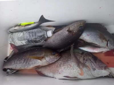 天竜丸の2026年2月11日(水)4枚目の写真