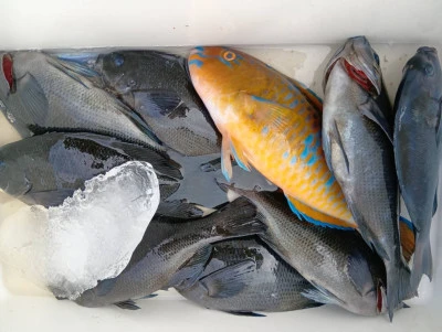 天竜丸の2026年2月11日(水)5枚目の写真