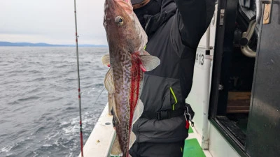 弁天丸の2026年2月7日(土)3枚目の写真