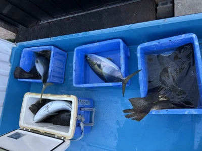 初栄丸の2026年2月9日(月)5枚目の写真