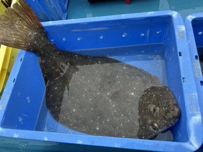 初栄丸の2026年2月7日(土)4枚目の写真