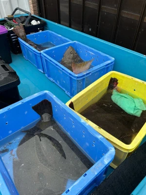 初栄丸の2026年2月7日(土)5枚目の写真