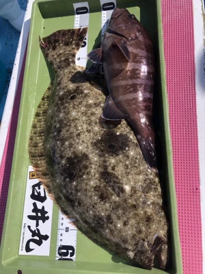 臼井丸の2026年2月10日(火)2枚目の写真