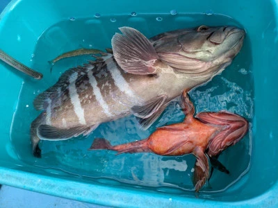 臼井丸の2026年2月10日(火)4枚目の写真