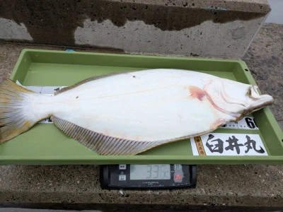 臼井丸の2026年2月7日(土)3枚目の写真