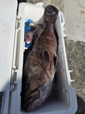 富士丸の2026年2月10日(火)4枚目の写真