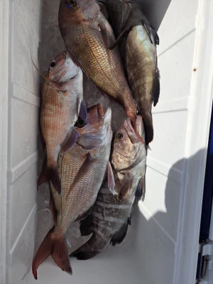 富士丸の2026年2月10日(火)5枚目の写真