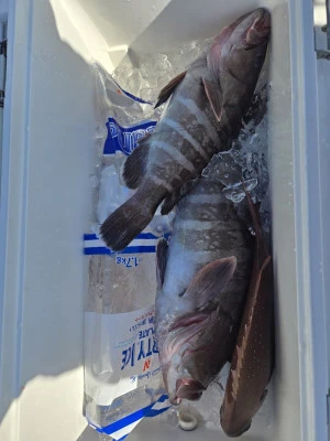 富士丸の2026年2月3日(火)4枚目の写真