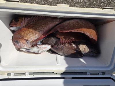 富士丸の2026年2月3日(火)5枚目の写真