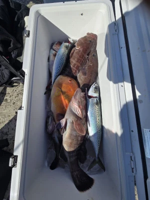 富士丸の2026年2月1日(日)5枚目の写真