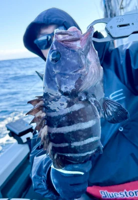 広布号の2026年2月1日(日)3枚目の写真