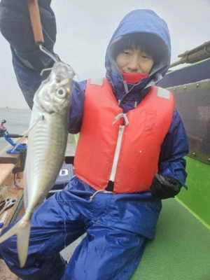 伊藤遊船の2026年2月11日(水)2枚目の写真