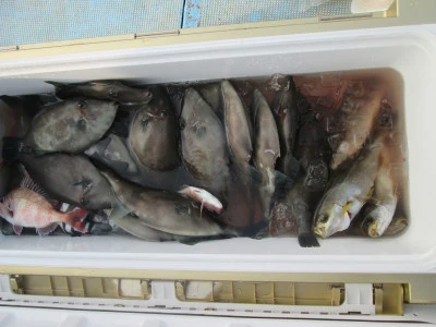 松福丸の2026年1月19日(月)2枚目の写真