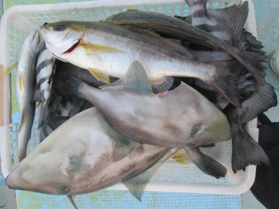 松福丸の2026年1月19日(月)3枚目の写真