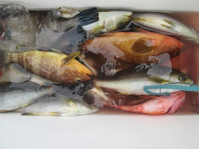 松福丸の2026年1月19日(月)4枚目の写真