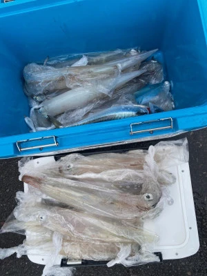 大春丸の2026年2月12日(木)4枚目の写真