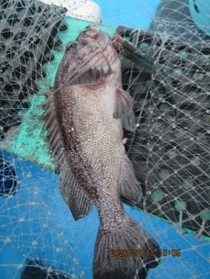 大洗丸の2026年2月13日(金)4枚目の写真