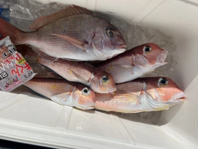 愛昌丸の2026年2月13日(金)3枚目の写真