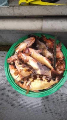 信栄丸の2026年2月13日(金)3枚目の写真