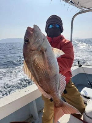 菜々海IIの2026年2月12日(木)2枚目の写真