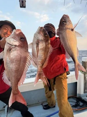 菜々海IIの2026年2月12日(木)5枚目の写真