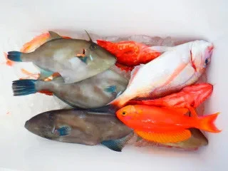 せきおう丸の2026年2月5日(木)3枚目の写真