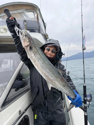 ハピネス IIの2026年2月10日(火)2枚目の写真