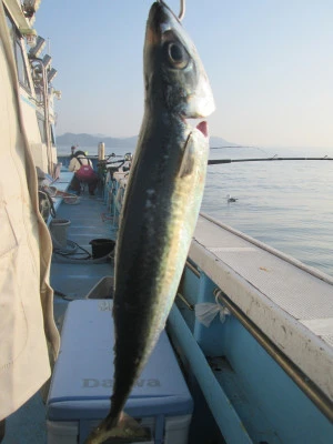 松福丸の2026年2月13日(金)2枚目の写真