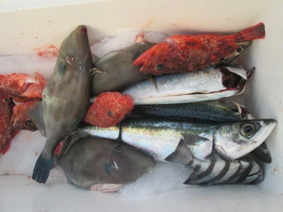 松福丸の2026年2月13日(金)4枚目の写真