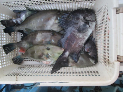 松福丸の2026年2月13日(金)5枚目の写真