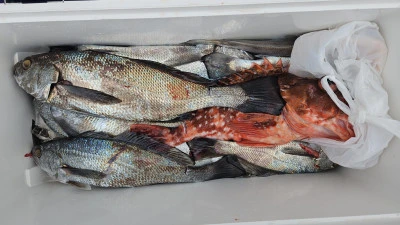 海斗の2026年2月10日(火)2枚目の写真