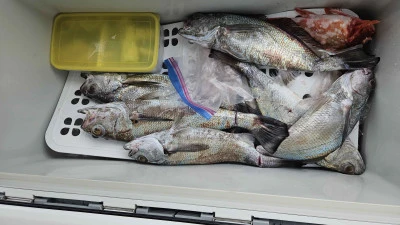 海斗の2026年2月10日(火)3枚目の写真