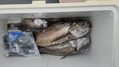 海斗の2026年2月10日(火)4枚目の写真