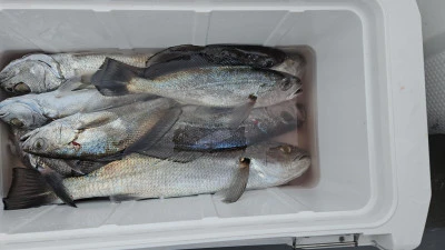 海斗の2026年2月10日(火)5枚目の写真