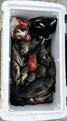 さくらの2026年2月12日(木)4枚目の写真