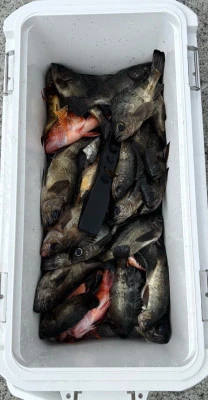 さくらの2026年2月12日(木)5枚目の写真