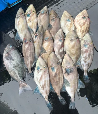 さくらの2026年2月10日(火)2枚目の写真