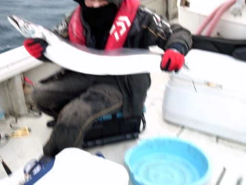 五郎丸の2026年2月10日(火)2枚目の写真