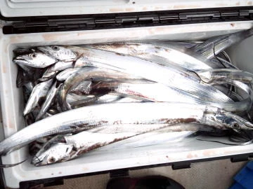 五郎丸の2026年2月10日(火)3枚目の写真