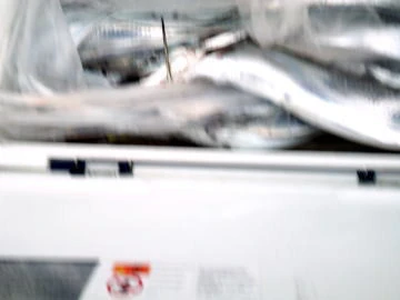 五郎丸の2026年2月10日(火)4枚目の写真