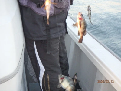 たるみの2026年2月13日(金)1枚目の写真