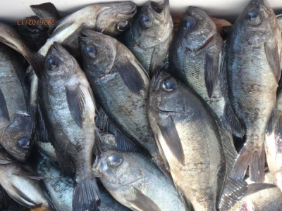 たるみの2026年2月13日(金)2枚目の写真