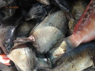 たるみの2026年2月13日(金)3枚目の写真