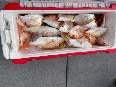 第二大福丸の2026年2月5日(木)1枚目の写真